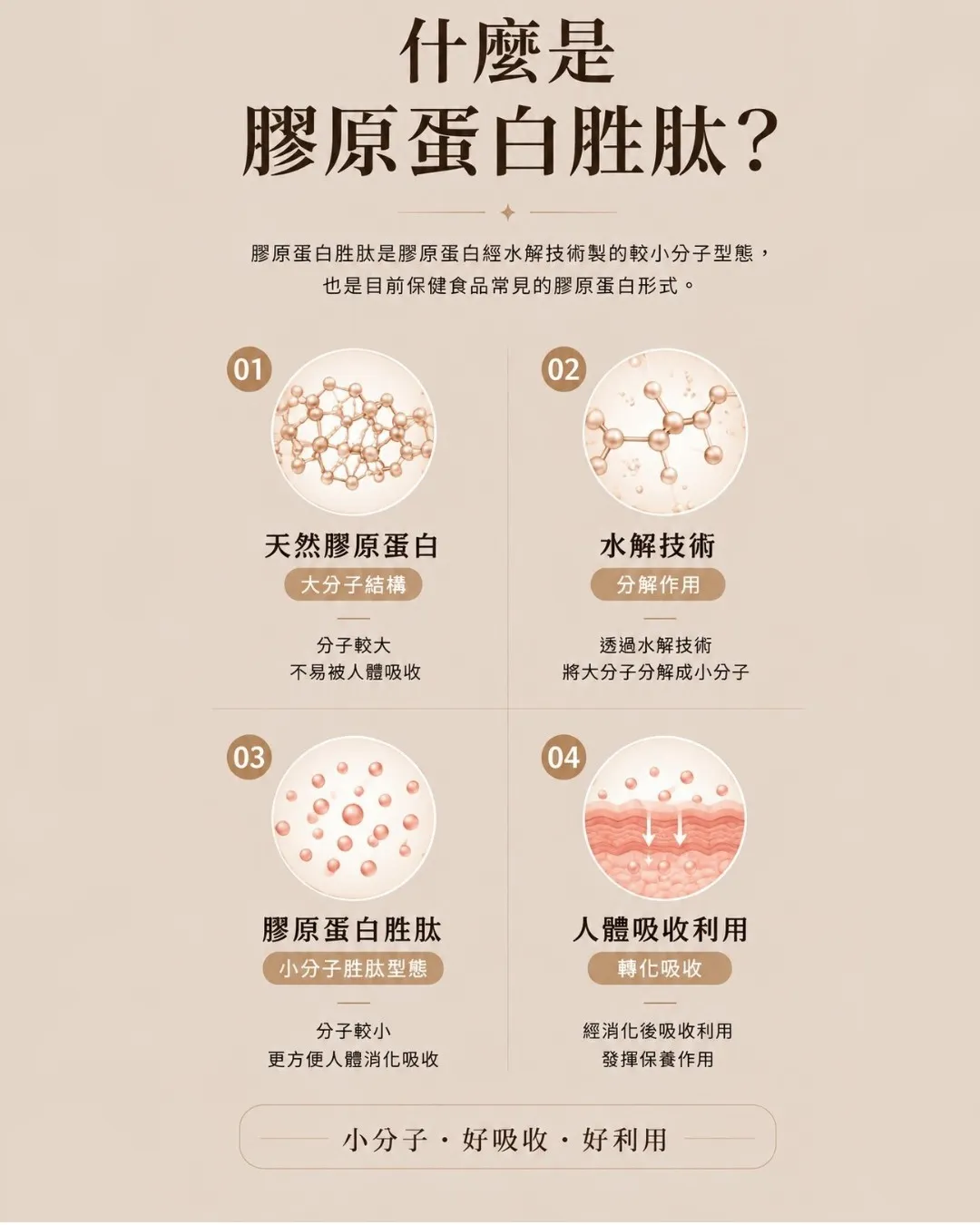 什麼是膠原蛋白